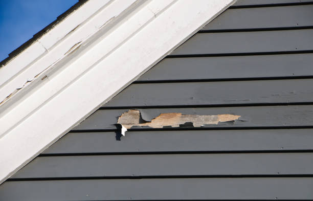 Affordable Siding Repair and Maintenance Services in Mcmechen, WV